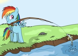 Size: 900x649 | Tagged: safe, artist:asluc96, rainbow dash, fish, pegasus, pony, fishing, water