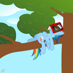 Size: 4000x4000 | Tagged: safe, artist:gammaespeon, daring do, rainbow dash, pegasus, pony, book, egghead, sleeping, tree