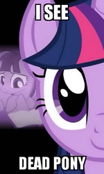 Size: 299x499 | Tagged: safe, derpibooru import, twilight sparkle, image macro, meme, solo, the sixth sense