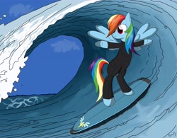 Size: 5239x4089 | Tagged: safe, artist:filipinoninja95, rainbow dash, pegasus, pony, absurd resolution, blue coat, female, mare, multicolored mane, solo, surfing