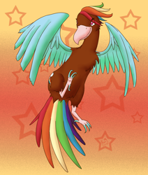 Size: 1000x1180 | Tagged: safe, artist:eastern-katt, rainbow dash, bird, beak, eye clipping through hair, female, multicolored hair, multicolored tail, solo, species swap, spread wings, stars, talons, wings