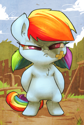 Size: 879x1300 | Tagged: safe, artist:atryl, rainbow dash, earth pony, pony, semi-anthro, alternate hairstyle, badass, badass adorable, bandage, bipedal, chest fluff, colored eyelashes, cute, dashabetes, filly, filly rainbow dash, grumpy, madorable, pigtails, race swap, rainbow lashes, signature, solo, stare down, tough, wingless