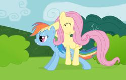 Size: 1775x1125 | Tagged: safe, artist:diegotan, fluttershy, rainbow dash, pegasus, pony, exercise, push-ups