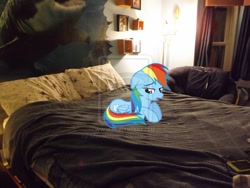 Size: 900x675 | Tagged: safe, artist:wolverscream05, rainbow dash, bed, chair, irl, lamp, photo, ponies in real life, sad, solo, vector, watermark