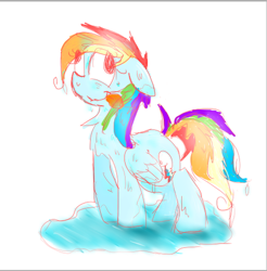 Size: 500x508 | Tagged: safe, artist:ticktockreplies, rainbow dash, pegasus, pony, blue coat, derp, female, mare, multicolored mane, solo, wet