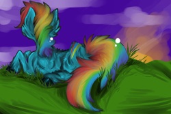 Size: 5250x3500 | Tagged: safe, artist:kitoridragoness, rainbow dash, pegasus, pony, blue coat, female, mare, multicolored mane, wingless