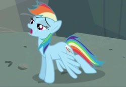 Size: 924x640 | Tagged: safe, screencap, rainbow dash, pegasus, pony, may the best pet win, mid-blink screencap, solo, stretching