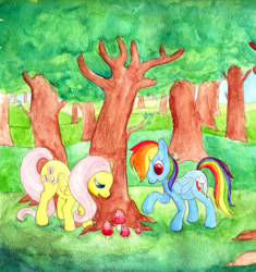 Size: 900x958 | Tagged: safe, artist:mborel, artist:mushroom-forest, fluttershy, rainbow dash, pegasus, pony, female, mare, wings