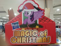 Size: 1920x1440 | Tagged: safe, artist:starlessnight22, derpibooru import, twilight sparkle, twilight sparkle (alicorn), alicorn, pony, candy, candy cane, christmas, cute, female, food, hasbro, hasbro logo, hat, irl, magic of christmas, mare, nose wrinkle, official, photo, raised hoof, retail, santa hat, scrunchy face, sitting, spread wings, standee, store display, wide eyes