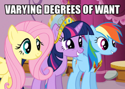 Size: 500x356 | Tagged: safe, fluttershy, rainbow dash, twilight sparkle, pegasus, pony, big crown thingy, image macro, reaction image, varying degrees of want