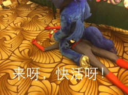 Size: 600x448 | Tagged: safe, princess luna, pony, canton, canton cn bronycon, china ponycon, chinese, clothes, cosplay, costume, fursuit, guangzhou, image macro, irl, meme, photo, spider-man, translated in the comments