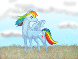 Size: 1350x1027 | Tagged: safe, artist:addybreeze, rainbow dash, pegasus, pony, blue coat, female, mare, multicolored mane