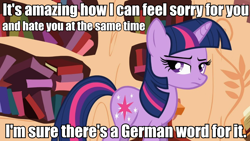 Size: 960x540 | Tagged: safe, derpibooru import, screencap, twilight sparkle, unicorn twilight, pony, unicorn, the cutie pox, female, grumpy twilight, image macro, mare, meme, solo, the simpsons