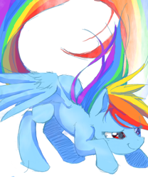 Size: 500x600 | Tagged: safe, artist:rosurin, rainbow dash, pegasus, pony, crouching, female, mare, pounce, simple background, solo, white background