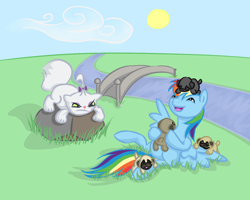 Size: 1280x1024 | Tagged: safe, artist:elsendor, opalescence, rainbow dash, pegasus, pony, pug, puppy