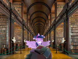 Size: 1280x967 | Tagged: safe, artist:mamandil, artist:uponia, derpibooru import, twilight sparkle, twilight sparkle (alicorn), alicorn, pony, big smile, book, bookgasm, bust, dublin, female, ireland, irl, library, mare, photo, ponies in real life, that pony sure does love books, trinity library, twilight's joy, vector