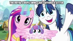 Size: 800x450 | Tagged: safe, edit, edited screencap, screencap, princess cadance, princess flurry heart, shining armor, alicorn, pony, unicorn, a flurry of emotions, bags under eyes, caption, foalsitter, glowing horn, horn, image macro, stubble, text, unshorn fetlocks