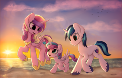 Size: 4206x2682 | Tagged: safe, artist:av-4, artist:avastin4, princess cadance, princess flurry heart, shining armor, alicorn, pony, unicorn, beach, big ears, cheek fluff, chest fluff, cute, cutedance, ear fluff, family, female, filly, filly flurry heart, flurrybetes, high res, hoofprints, male, mare, older, older flurry heart, running, shining adorable, stallion, sunset