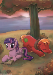 Size: 600x849 | Tagged: safe, artist:piripaints, derpibooru import, big macintosh, twilight sparkle, twilight sparkle (alicorn), alicorn, pony, book, female, male, mare, reading, shipping, sleeping, straight, tree, twimac