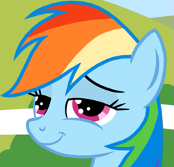 Size: 631x606 | Tagged: safe, screencap, rainbow dash, pegasus, pony, blue coat, female, mare, multicolored mane, smug