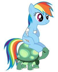 Size: 3000x3700 | Tagged: safe, artist:smlahyee, rainbow dash, tank, pegasus, pony, simple background, transparent background, vector