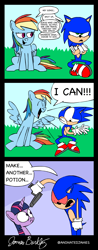 Size: 1566x4000 | Tagged: safe, artist:animatedjames, rainbow dash, twilight sparkle, pegasus, pony, absurd resolution, comic, comic sans, crossover, double rainboom, sonic the hedgehog, sonic the hedgehog (series)