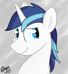 Size: 2438x2640 | Tagged: safe, alternate version, artist:siggyderp, shining armor, pony, unicorn, bust, cute, male, profile, shining adorable, signature, smiling, solo, stallion