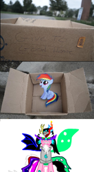 Size: 800x1458 | Tagged: safe, rainbow dash, oc, pegasus, pony, fanfic:my little dashie, dashie meme, evil people finding dash meme, exploitable meme, filly, tiara ultima