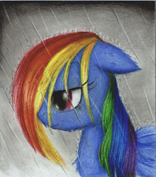 Size: 706x802 | Tagged: safe, artist:takomomo, rainbow dash, pegasus, pony, rain, solo, traditional art, wet, wet mane