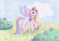 Size: 1024x722 | Tagged: safe, artist:normaleeinsane, princess cadance, alicorn, pony, flower, solo, traditional art