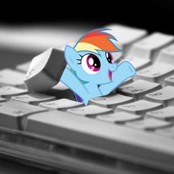 Size: 400x400 | Tagged: source needed, useless source url, safe, edit, rainbow dash, cute, dashabetes, i hid in your keyboard, irl, keyboard, photo