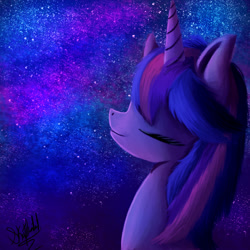 Size: 1600x1600 | Tagged: safe, artist:xskytheartist, derpibooru import, twilight sparkle, eyes closed, night, solo, stars