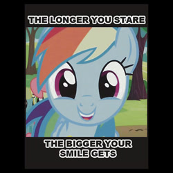 Size: 350x350 | Tagged: safe, rainbow dash, pegasus, pony, blue coat, female, image macro, mare, multicolored mane, smiling, solo