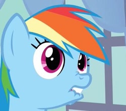 Size: 376x329 | Tagged: safe, screencap, rainbow dash, pegasus, pony, spike at your service, close-up, faic, female, lip bite, mare, nose wrinkle, reaction image, solo, unf, wide eyes