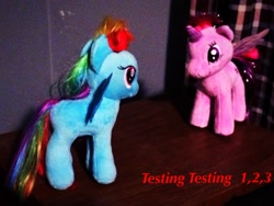 Size: 3264x2448 | Tagged: safe, derpibooru import, rainbow dash, twilight sparkle, irl, photo, plushie, ty