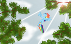 Size: 1440x900 | Tagged: safe, artist:evil-dec0y, rainbow dash, pegasus, pony, crepuscular rays, female, flying, grin, mare, perspective, smiling, solo, tree, windswept mane