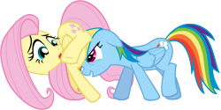 Size: 10001x4987 | Tagged: safe, artist:iamcommando13, fluttershy, rainbow dash, pegasus, pony, absurd resolution, simple background, transparent background, vector