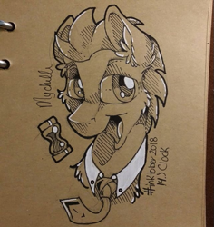 Size: 567x600 | Tagged: safe, artist:mychelle, doctor whooves, pony, bust, inktober, monochrome, portrait, solo, traditional art