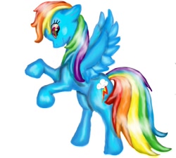 Size: 1000x900 | Tagged: safe, artist:shadow-wolf32, rainbow dash, pegasus, pony, blue coat, female, mare, multicolored mane