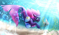 Size: 1250x750 | Tagged: safe, artist:cosmalumi, fizzlepop berrytwist, tempest shadow, fish, seapony (g4), angelfish, female, looking back, seaponified, seapony tempest shadow, smiling, solo, species swap, swimming, underwater