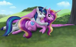Size: 3300x2052 | Tagged: safe, artist:greenbrothersart, princess cadance, shining armor, alicorn, pony, unicorn, anatomically incorrect, barehoof, butt, cuddling, eye contact, female, grass, gray background, hug, husband and wife, incorrect leg anatomy, looking at each other, lovebutt, male, mare, married couple, missing accessory, open mouth, outdoors, plot, prone, shiningcadance, shipping, simple background, smiling, spread wings, stallion, straight, tree, underhoof, winghug, wings
