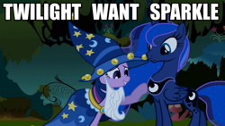 Size: 960x540 | Tagged: safe, edit, edited screencap, screencap, princess luna, twilight sparkle, alicorn, pony, luna eclipsed, clothes, costume, duo, duo female, female, image macro, mare, meme, star swirl the bearded costume