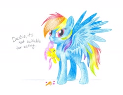 Size: 1779x1363 | Tagged: safe, artist:skyaircobra, fluttershy, rainbow dash, pegasus, pony, brush, sketch, solo, toy, traditional art