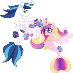 Size: 1493x1500 | Tagged: safe, artist:cloudyglow, princess cadance, princess flurry heart, shining armor, seapony (g4), crown, cute, cutedance, daughter, family, female, fin wings, fins, flurrybetes, hooves, jewelry, looking at you, male, mother and father, movie accurate, regalia, royal family, seaponified, seapony cadance, seapony flurry heart, seapony shining armor, shining adorable, simple background, smiling, species swap, tail, transparent background, wings