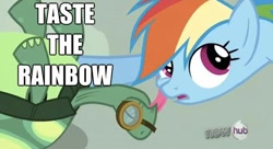 Size: 622x338 | Tagged: safe, rainbow dash, tank, pegasus, pony, affection, kissing, licking, pun