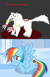 Size: 558x856 | Tagged: safe, rainbow dash, incubator (species), pegasus, pony, kyubey, puella magi madoka magica, true form