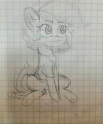 Size: 2448x2951 | Tagged: safe, artist:mjsw, oc, oc only, pony, female, graph paper, mare, sketch, solo, traditional art