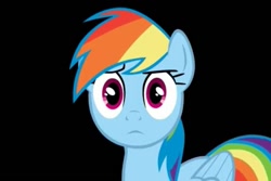 Size: 960x640 | Tagged: safe, rainbow dash, pegasus, pony, angry, blue coat, female, mare, multicolored mane, stare