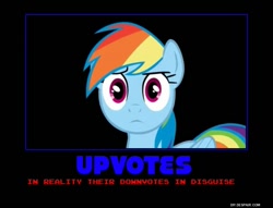 Size: 750x574 | Tagged: safe, rainbow dash, pegasus, pony, blue coat, demotivational poster, female, mare, meme, misspelling, multicolored mane, solo