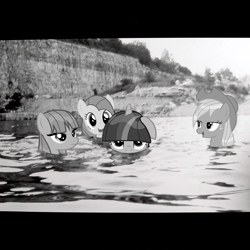 Size: 1547x1547 | Tagged: safe, artist:mrtankhill, derpibooru import, applejack, maud pie, pinkie pie, twilight sparkle, earth pony, pony, album cover, black and white, grayscale, monochrome, ponified album cover, slint, spiderland, wet mane